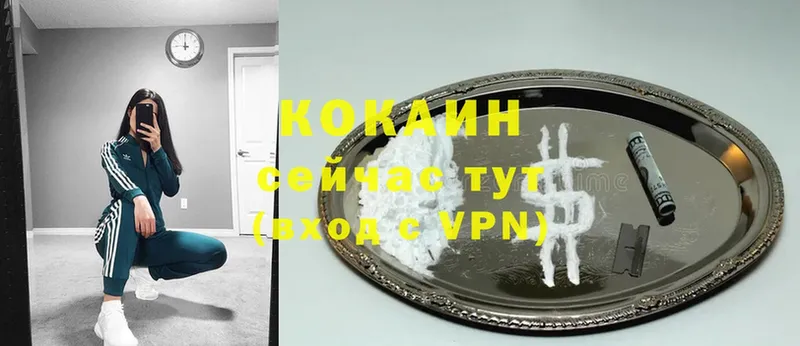 магазин продажи наркотиков  Камбарка  COCAIN Перу 